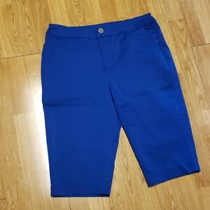 C&B blue cropped Capri high waist pants 8p